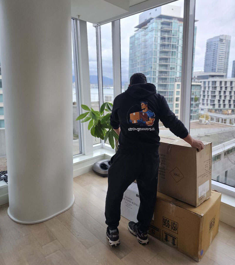 pexels-photo-34365794-1